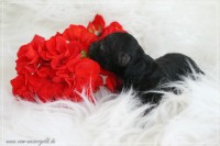 /album/lottes-babys/klein-img-7920-jpg/