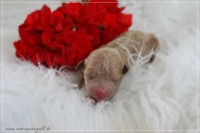 /album/lottes-babys/klein-img-7935-jpg/